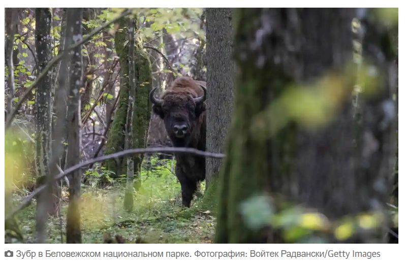От А до Я: 10 замечательных вещей, которые нужно сделать в Польше