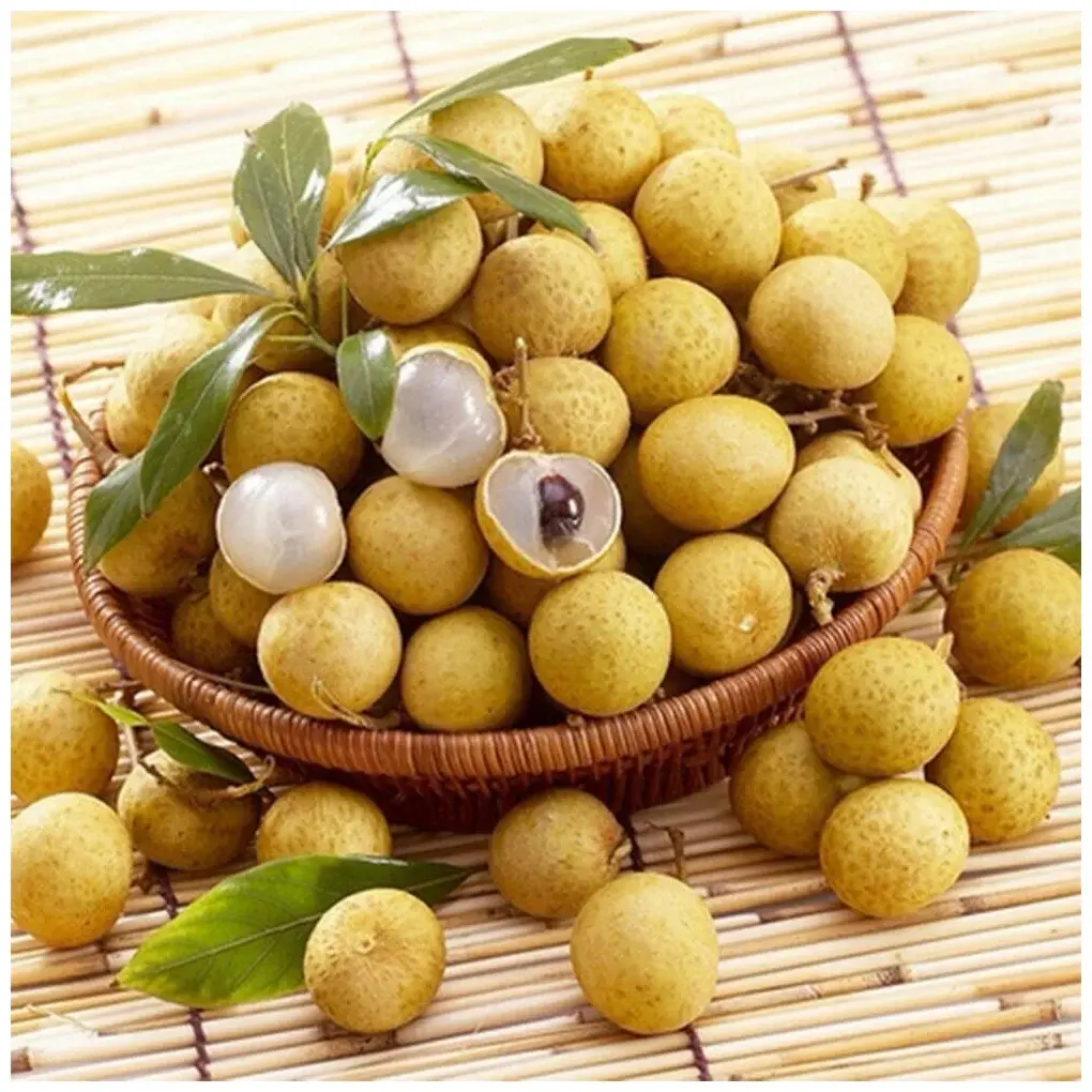 Рассказ про лонган