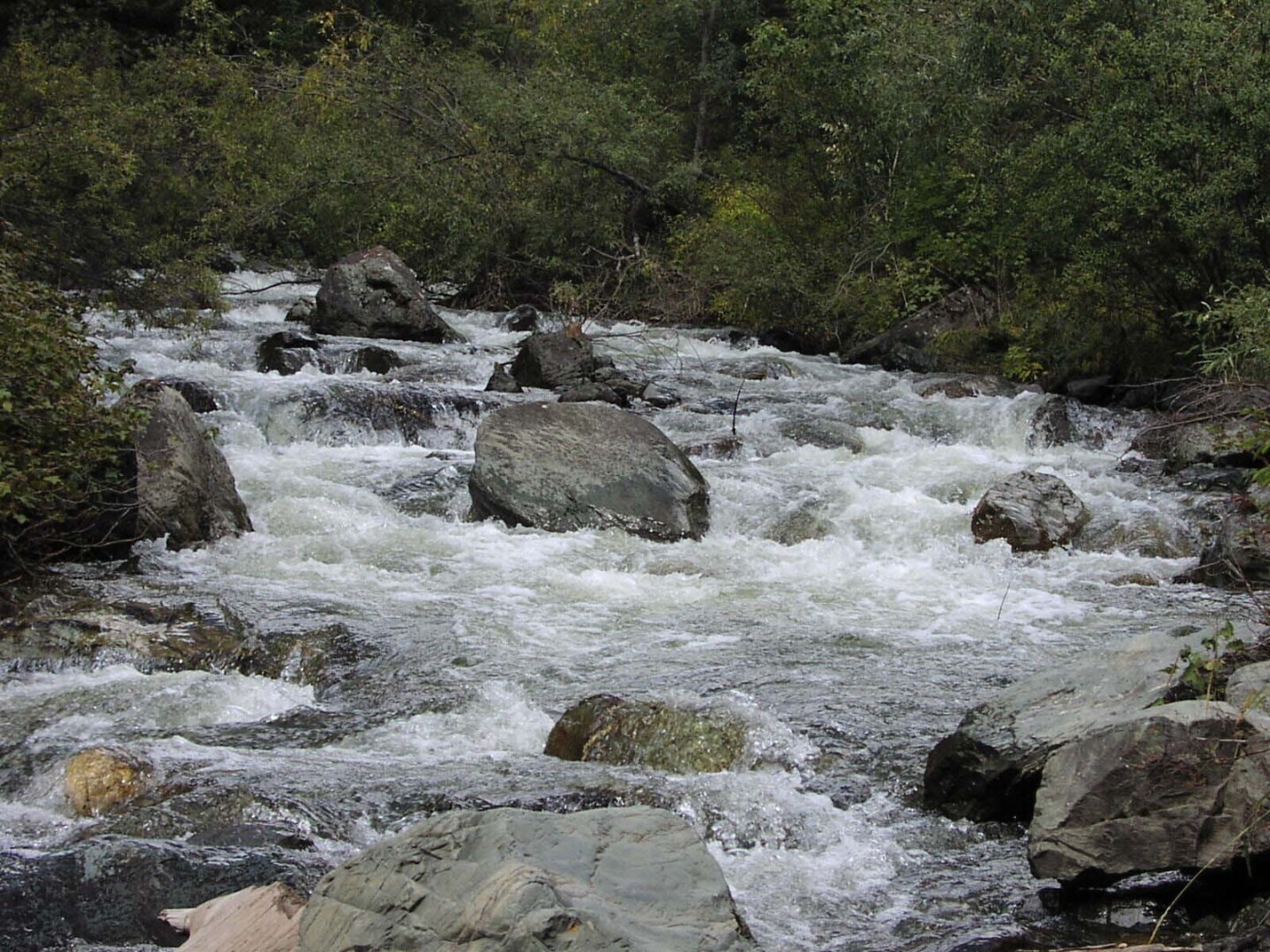 Немного об Алтае.