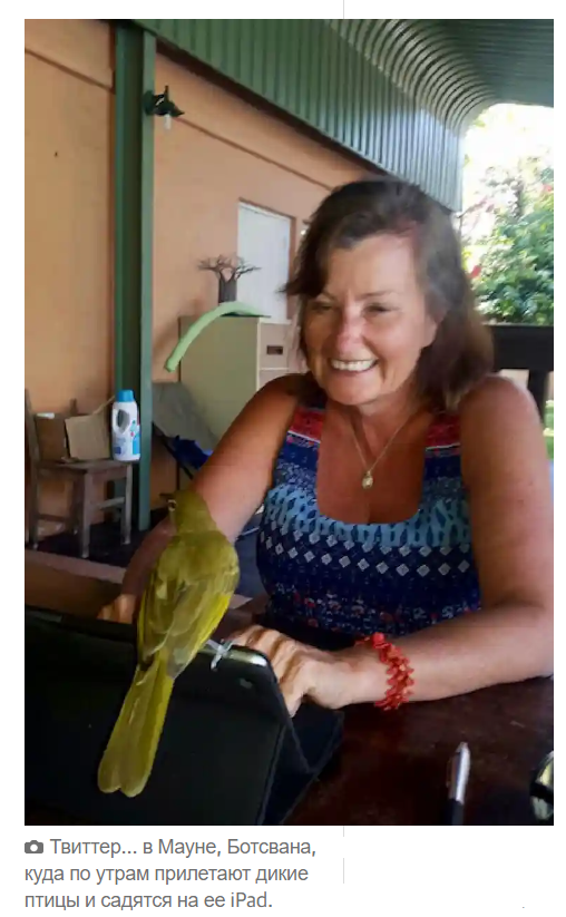 У меня лучшая пенсия, которая когда-либо была: новая профессия после 60