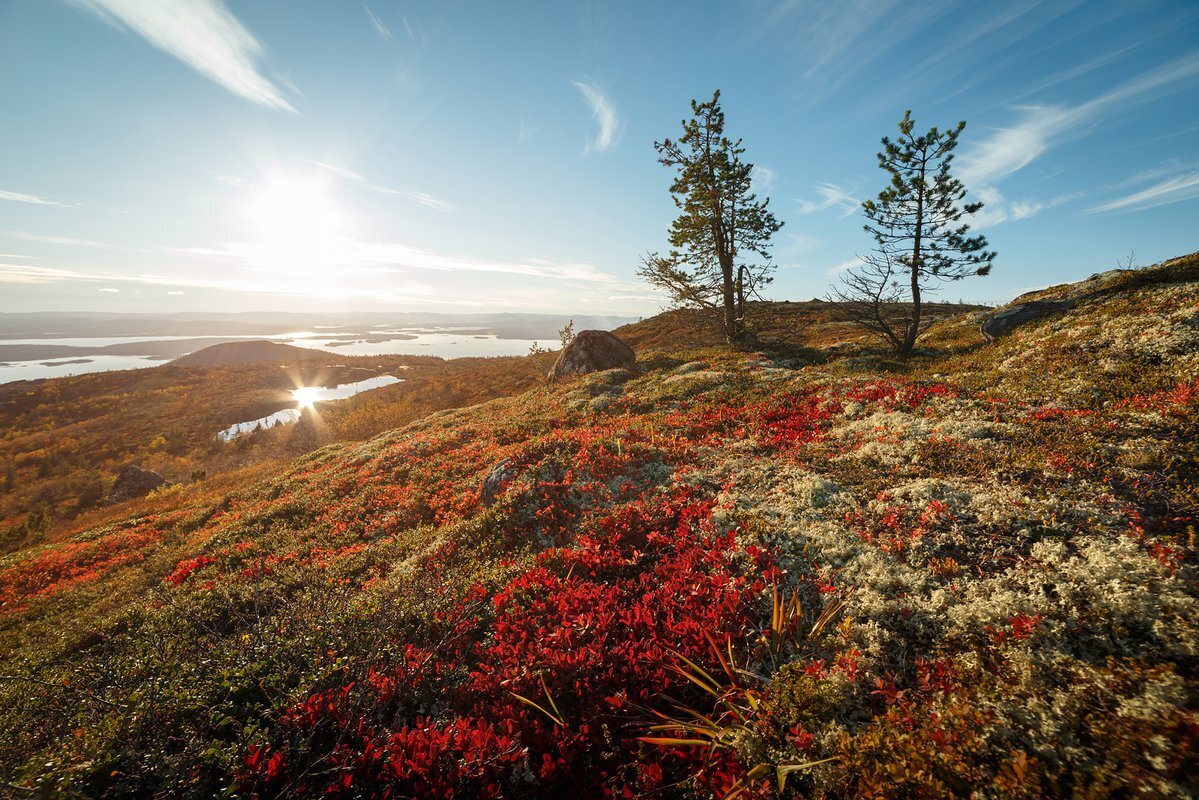 Где отдохнуть летом в России - с пользой и не дорого