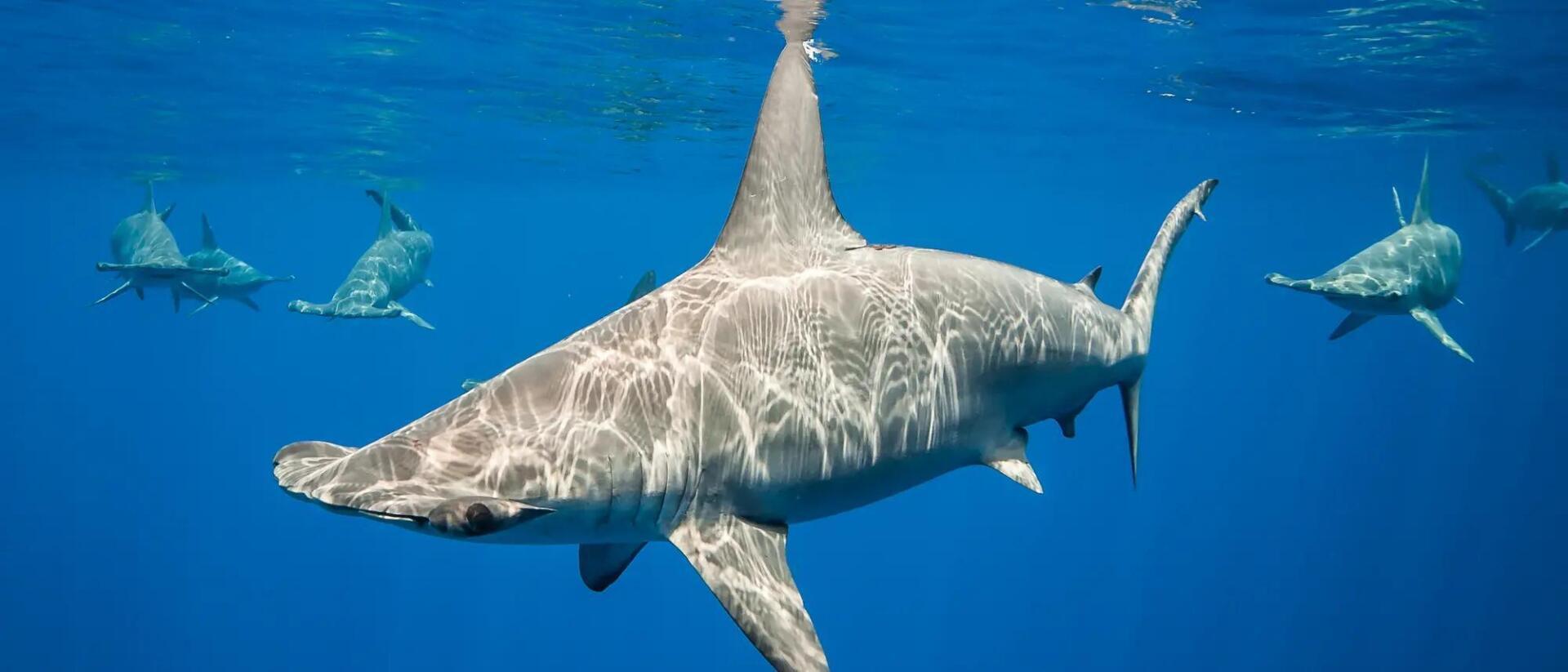 Задержите дыхание, чтобы согреться.