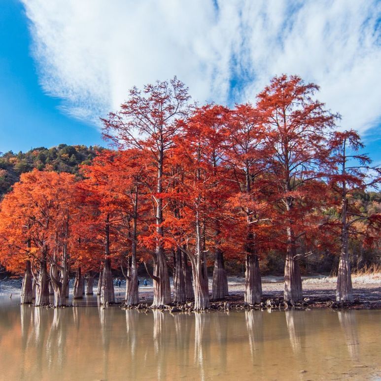 Краснодар и его окрестности славятся множеством живописных мест, которые заслуживают внимания. Если вы ищете место для отдыха, то у вас есть варианты!
