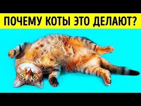 Скамейки в виде животных