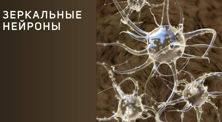 Я только подумала, и он позвонил...Телепатия - как она работает?