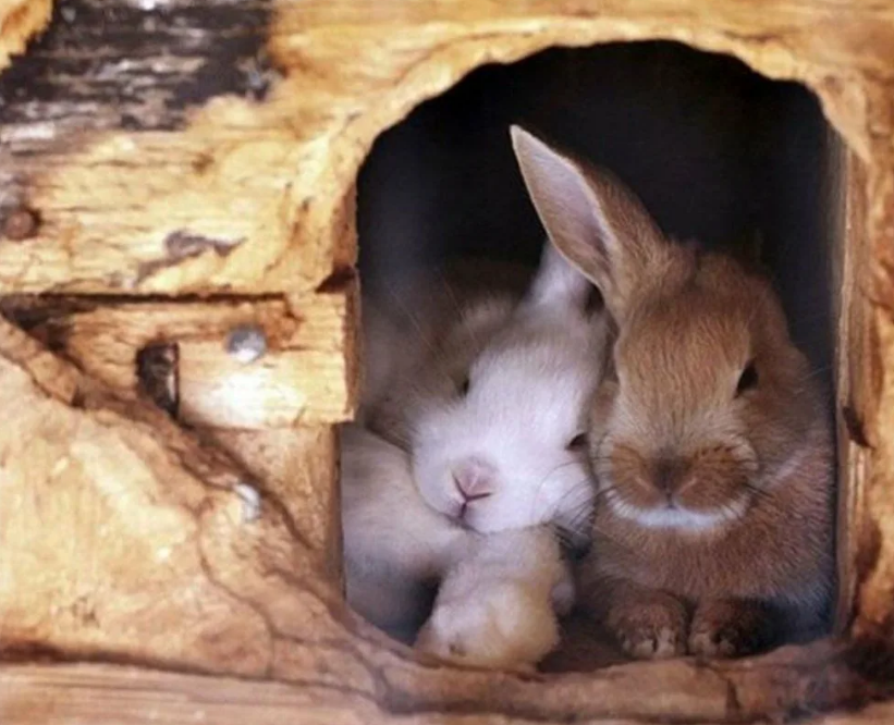 Какие типичные ошибки совершают люди при выборе партнера?