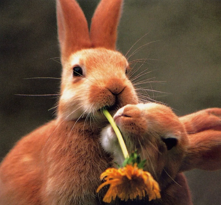 Какие типичные ошибки совершают люди при выборе партнера?