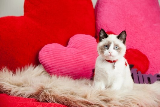 Почему так трудно сказать «Я тебя люблю»? Почему признание в любви делает нас уязвимыми?