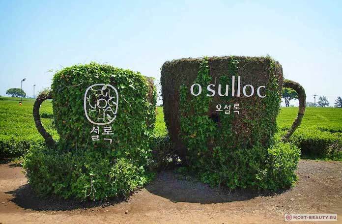 О чашечке чая замолвите слово, или Мини-экскурсия по чайным музеям мира