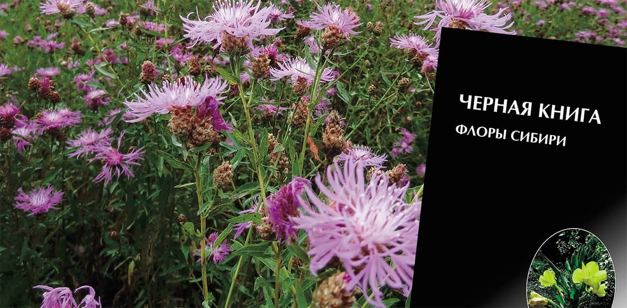 Чёрная книга флоры Сибири.