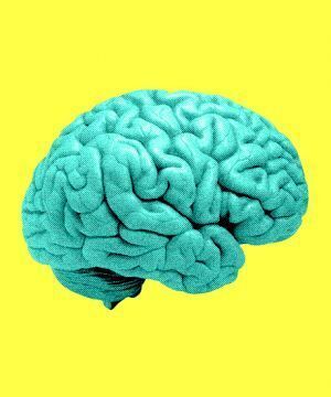 Поговорим о психологии памяти и видах памяти.