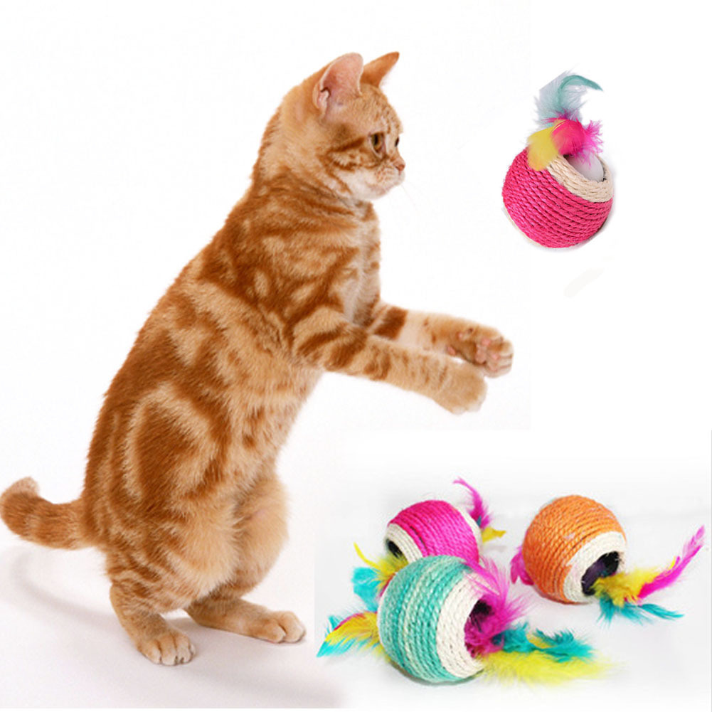 "Открываем для себя увлекательный мир кошек: удивительные факты, которые должен знать каждый