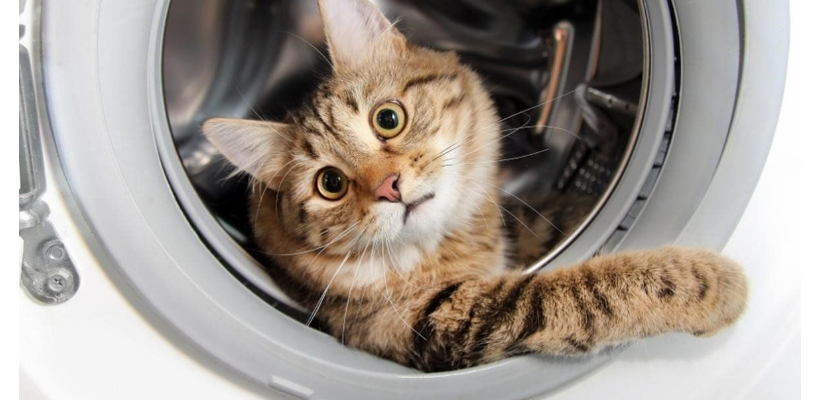 Когда женщина работает, а вечером прибежав домой, готовит ужин, стирает, делает уборку в квартире. Как быстро справится со всеми задачами?