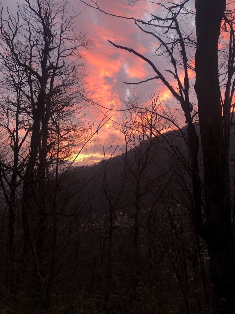 Наблюдаем ежедневно, но каждый раз, как впервые.