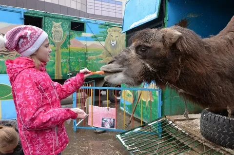 15 достопримечательностей Оренбурга, куда можно сходить летом