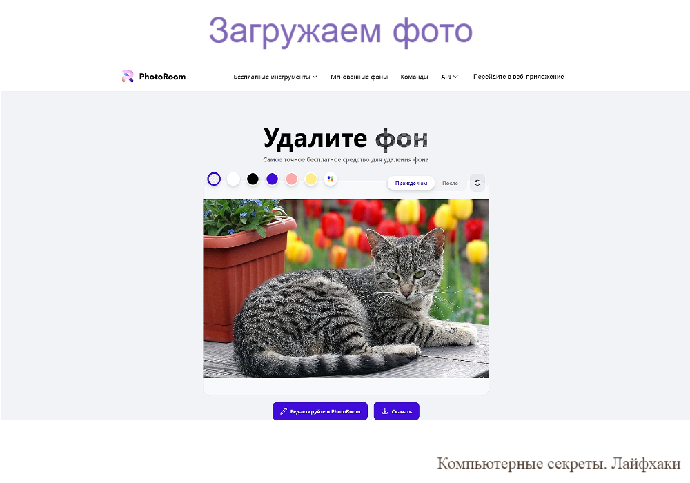 Удаление фона на фотографии или картинке онлайн: руководство для ПК