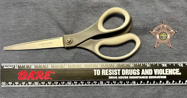 Мужчину поймали, когда он пытался пронести ножницы в тюрьму… через свою задницу