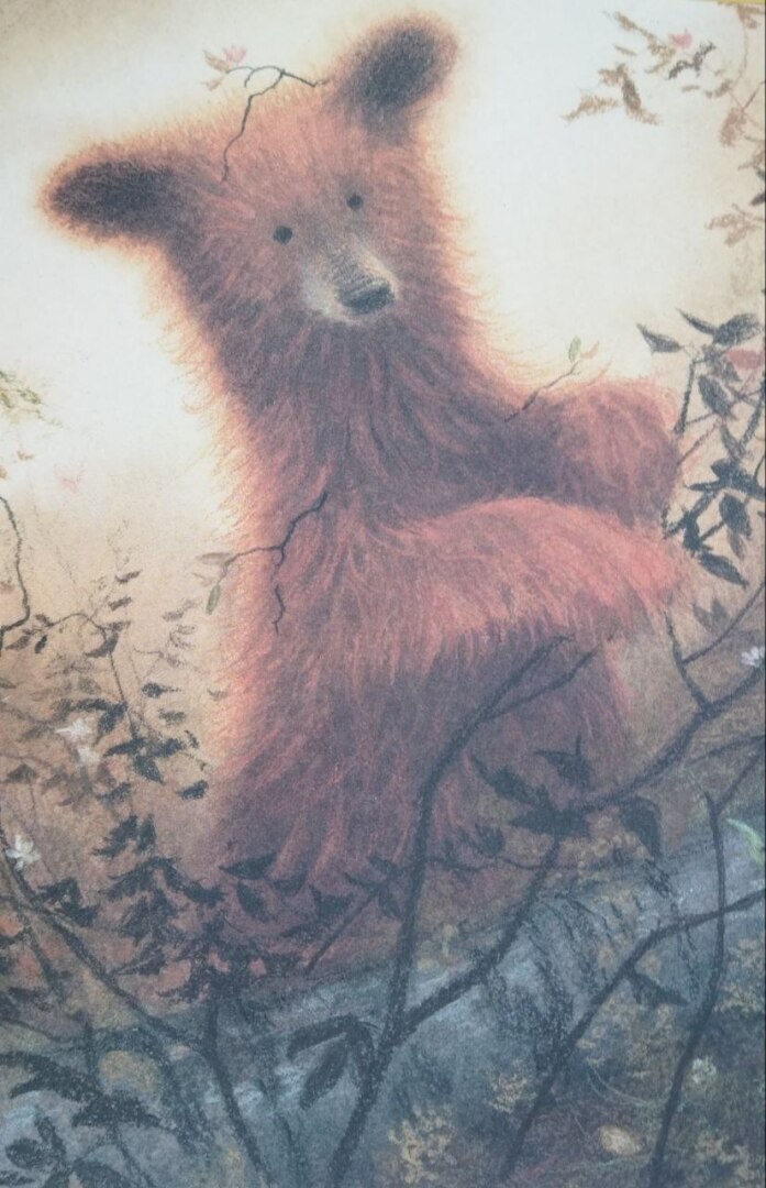 "Сказка для медведя"