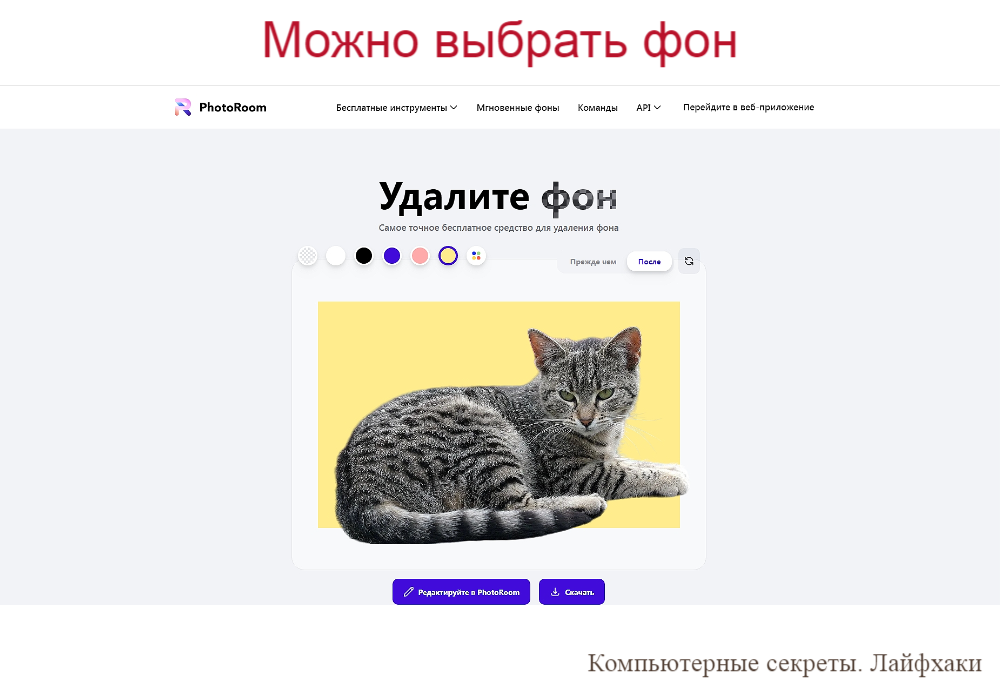 Удаление фона на фотографии или картинке онлайн: руководство для ПК