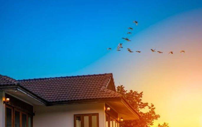 5 Интересных Способов, с Помощью Которых Люди Выживали Зимой До Появления Электричества