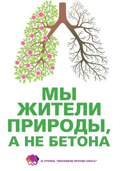 🌱Перерыв на счастье: размышления о нашей взаимозависимости с природой🌱