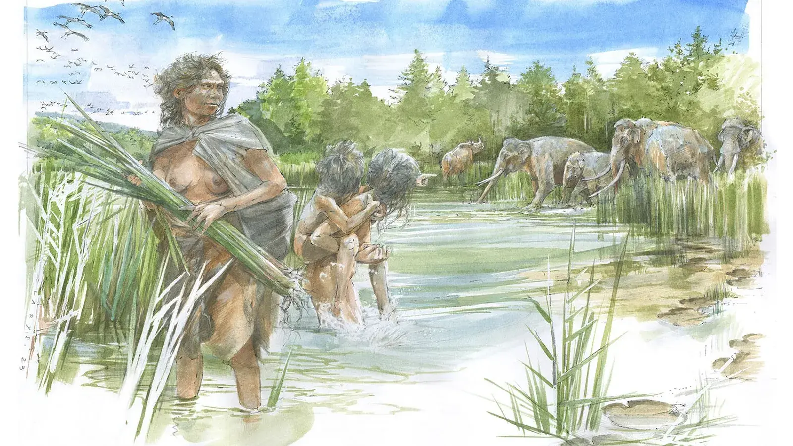 В Германии найдены самые древние человеческие следы