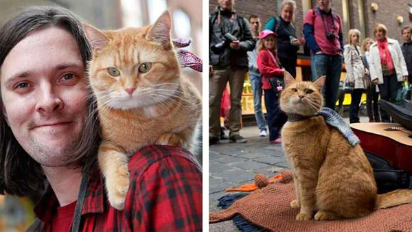 Уличный кот по кличке Боб