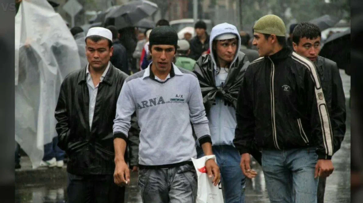 Пока россияне пытаются пожаловаться Путину на преступления мигрантов, они получают новые льготы от РФ. Ответственность правительства