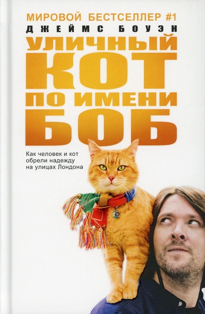 Уличный кот по кличке Боб