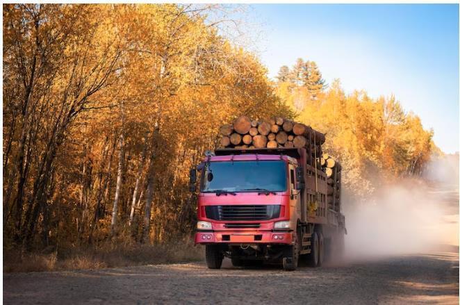 Перевозчик, ты не прав – история из практики юриста