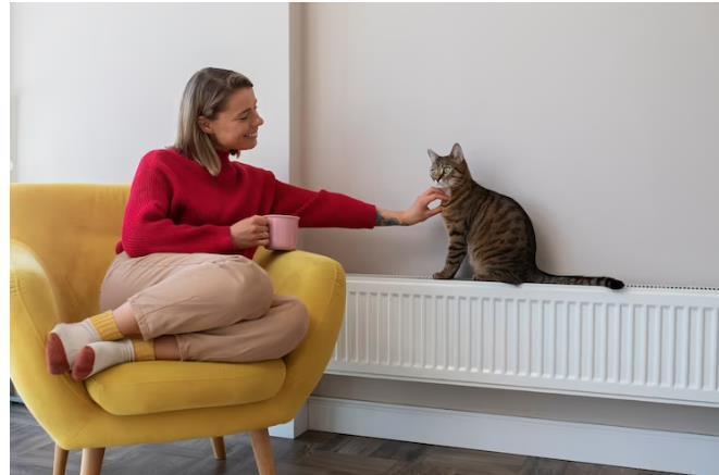 В квартире плохо греют батареи: кто произведет замену?