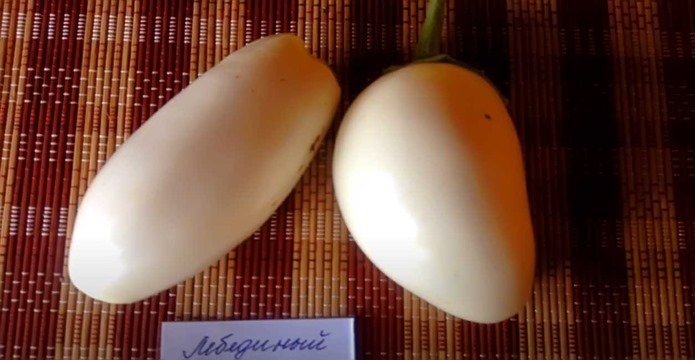 Подбираем сорт баклажанов: советы и рекомендации от профессионального агронома.