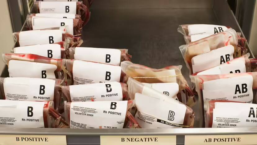 Какая самая редкая группа крови в мире?