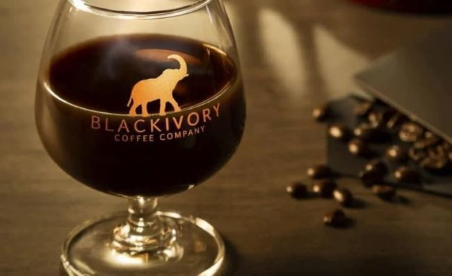 Таиланд добавляет качественный кофе в свое экспортное меню ЧИАНГМАЙ,