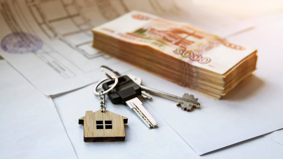 Занижение цены. Неотделимые улучшения. Риски покупателя