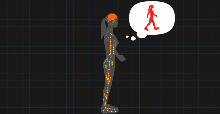 КИБЕРНИЧЕСКОЕ ЛЕЧЕНИЕ Восстановление утраченных функций организма