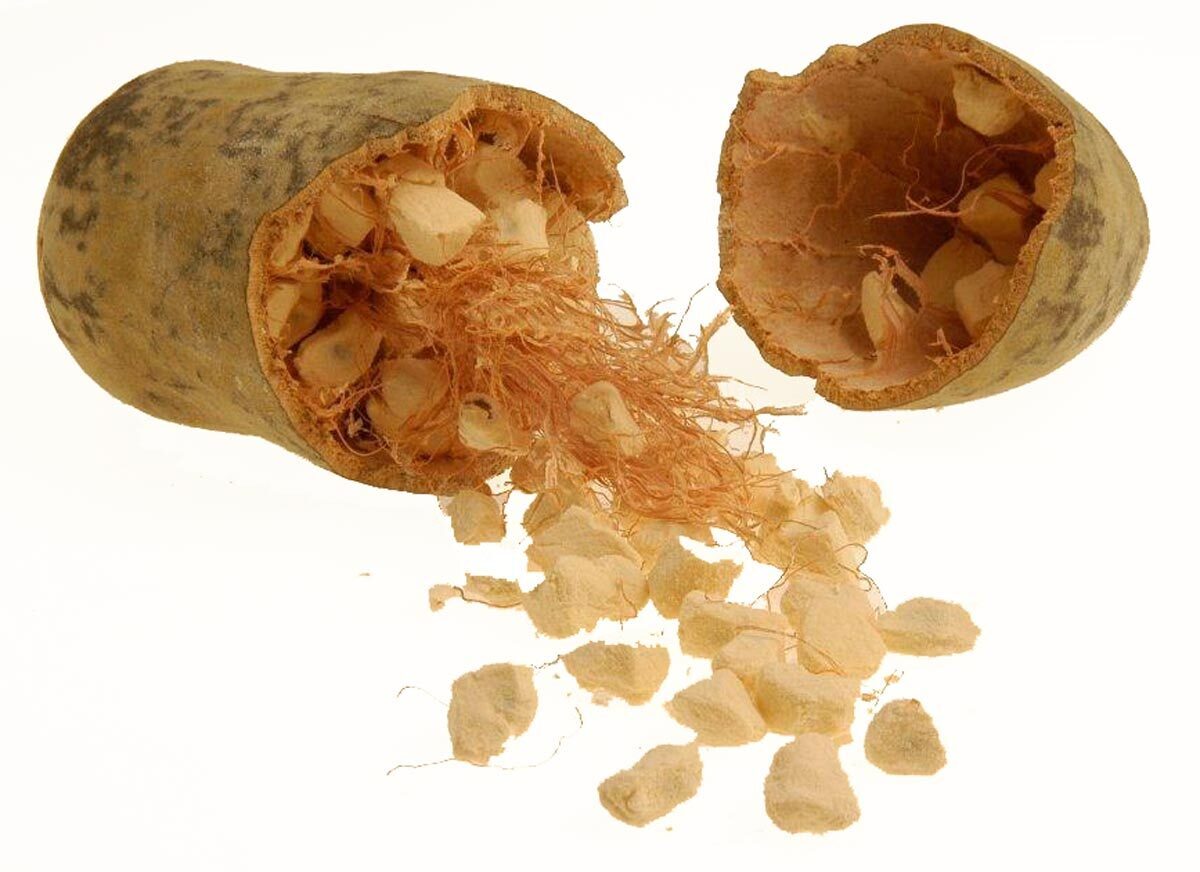 Статья про баобаб