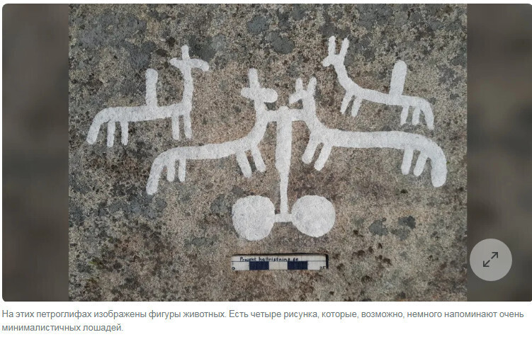 В Швеции обнаружены петроглифы возрастом 2700 лет, изображающие людей, корабли и животных