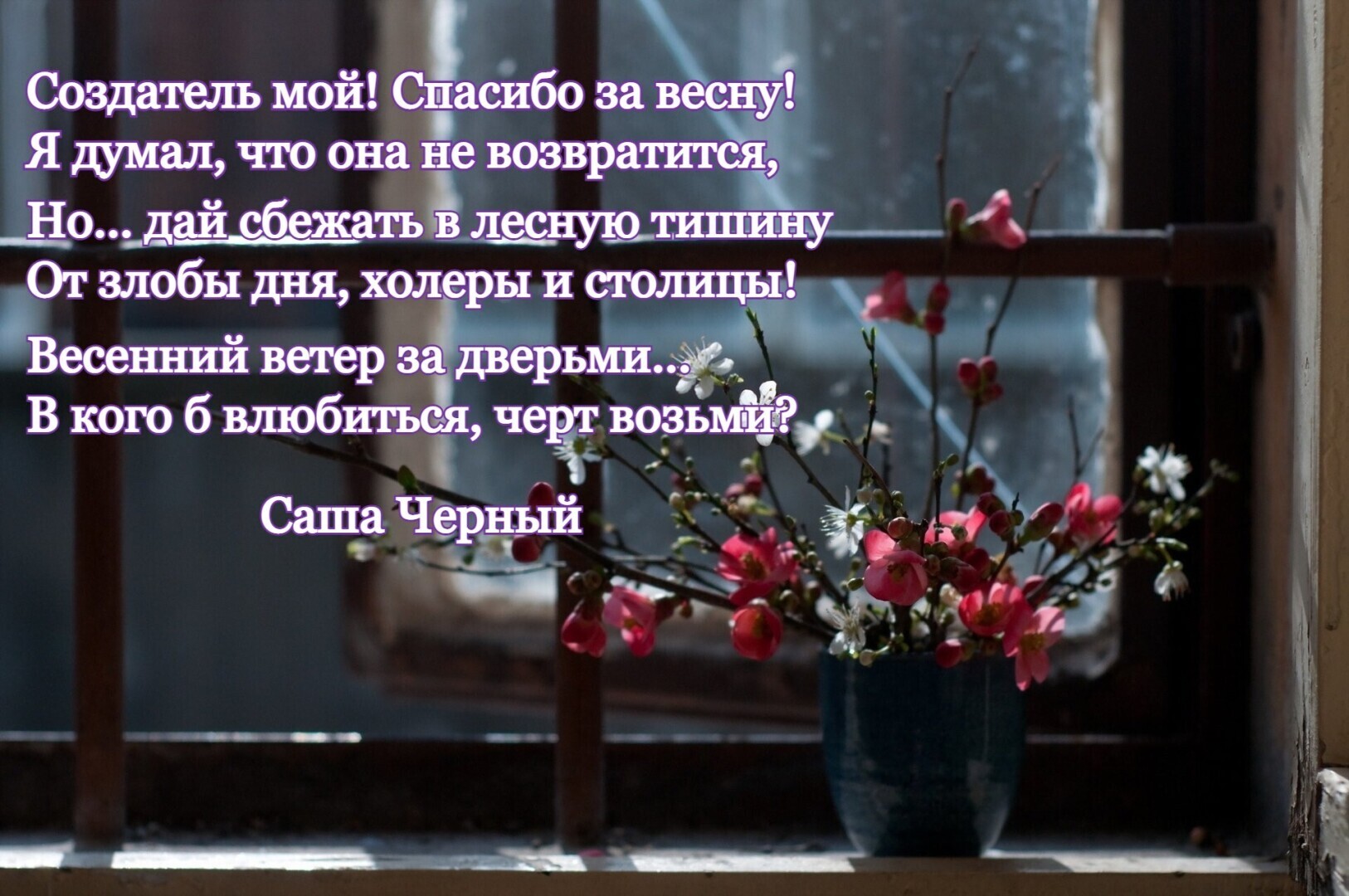 Весне вдогонку. Всё кувырком... :-)