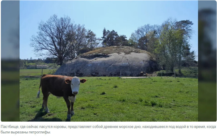 В Швеции обнаружены петроглифы возрастом 2700 лет, изображающие людей, корабли и животных