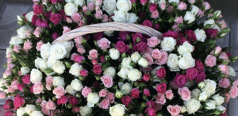 Роза. Кто не знает этот красивый и величественный цветок? С его неповторимым запахом и колючим стеблем.