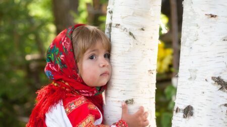 Как деревья лечат и восстанавливают внутреннюю энергию