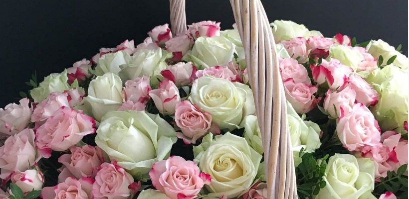 Роза. Кто не знает этот красивый и величественный цветок? С его неповторимым запахом и колючим стеблем.