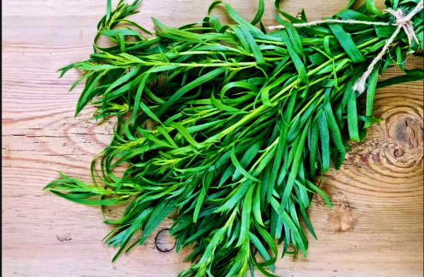 Кипящий розмарин: бьюти-актив