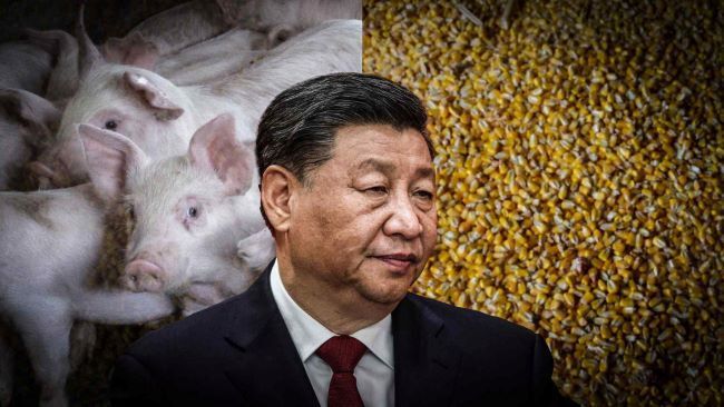 Анализ: Си Цзиньпин считает, что диета Китая слишком зависит от США и Украины