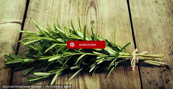 Кипящий розмарин: бьюти-актив