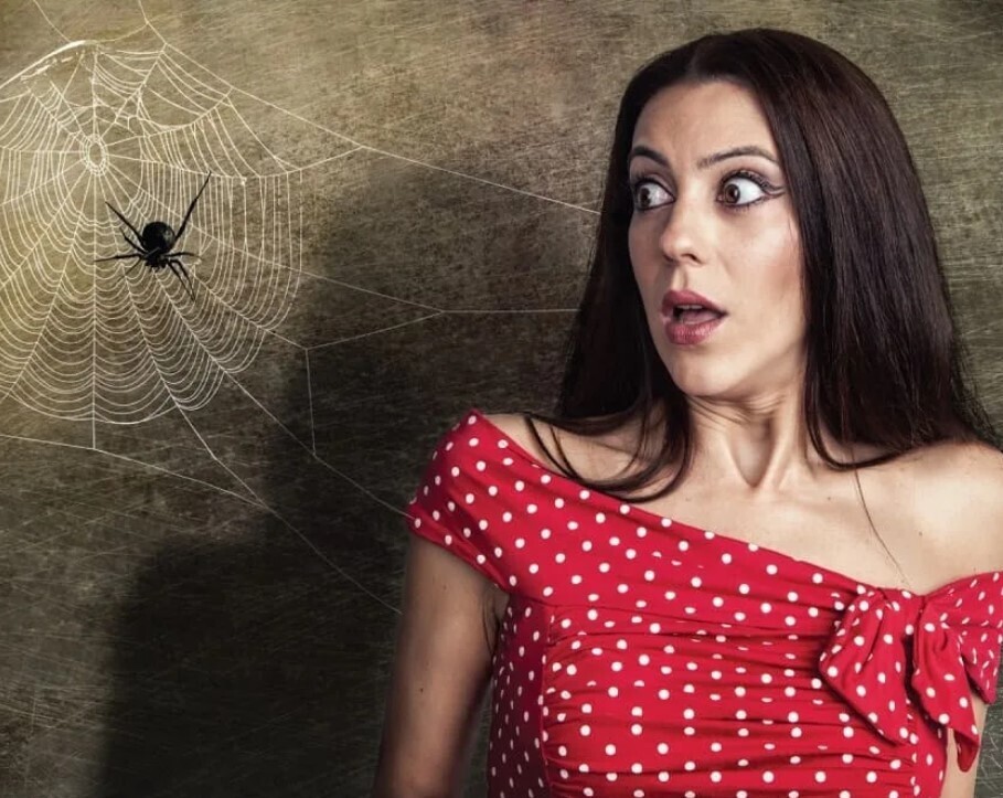 Как преодолеть арахнофобию (боязнь пауков)