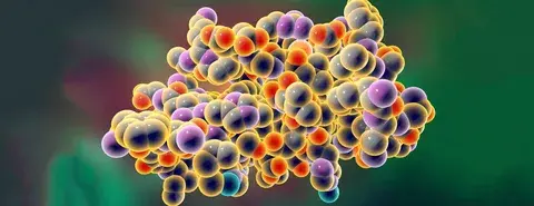 Тестостерон это ?