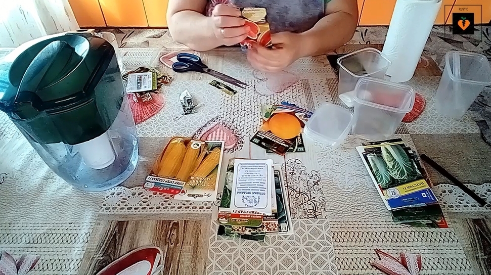 Опустевшие магазины без людей: от таких цен я перешла на подножный корм