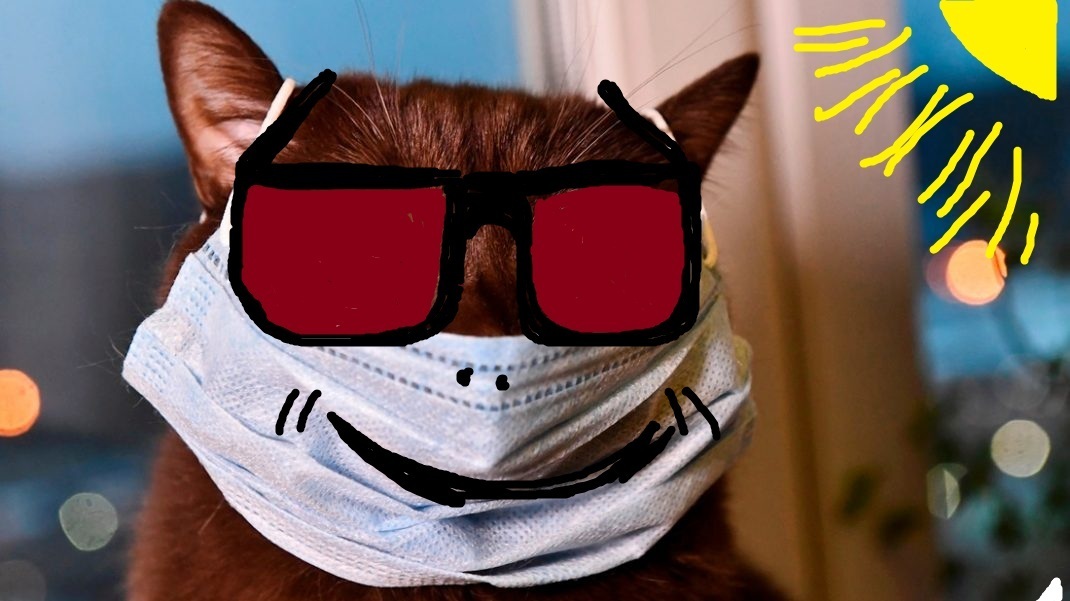 Лето пришло, или солнце и тепло наконец дошло до наших краев.